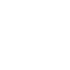 Server Favicon