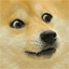 Server Favicon