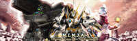 RF Online 4.55 NINJA