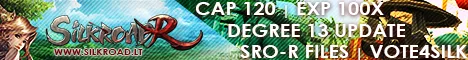 SilkroadR - Future of Silkroad is in your hands  Silk h  Epic  120Cap  SROR-File