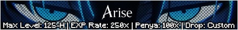 Arise Flyff